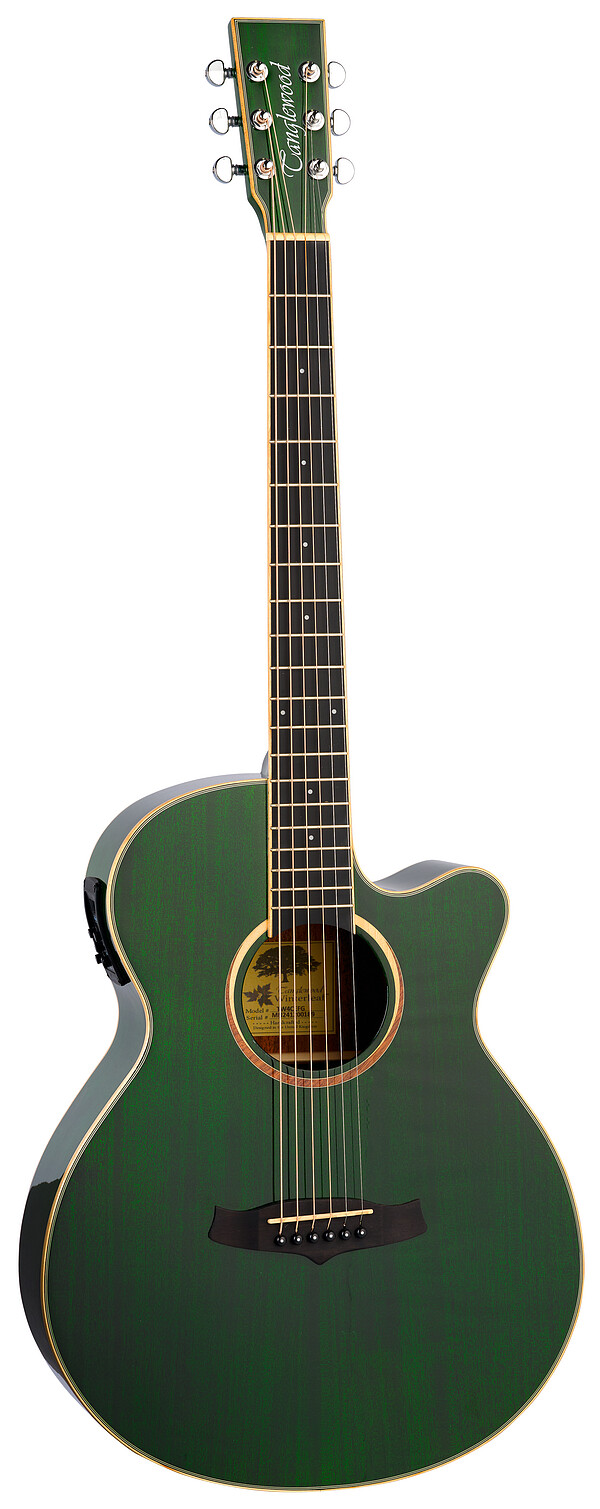 Tanglewood TW4CEFG Winterleaf S.Folk Grn 