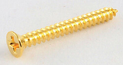 AP GS 0008-​002 HB-​Ring Screws/​8 gld 19mm 