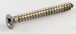 AP GS 0008-005 HB-Ring Screws/8 SS 19 mm 