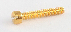 AP GS 5453-002 Polepieceschrauben gold  