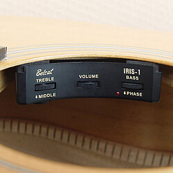 Belcat Iris-​1 Sound Hole Preamp  