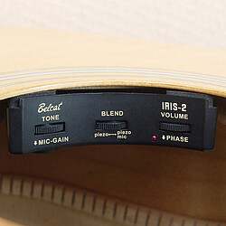 Belcat Iris-​2 Sound Hole Preamp  