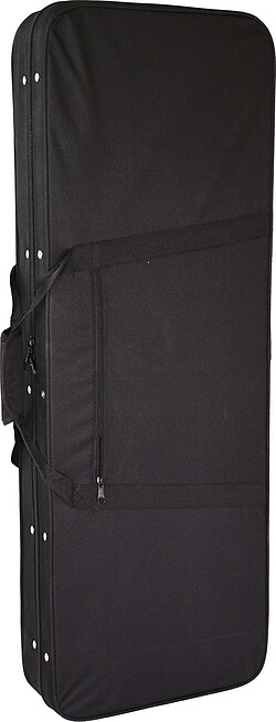 Catfish Softcase M2, E-Gitarre, schwarz  