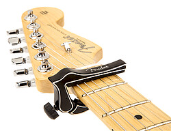 Fender® Dragon Capo black  