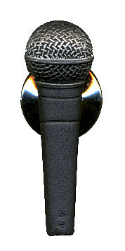 Future Primitive 530 Shure SM 58  