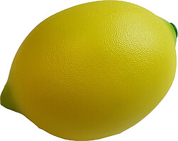 Scott Shaker Lemon  