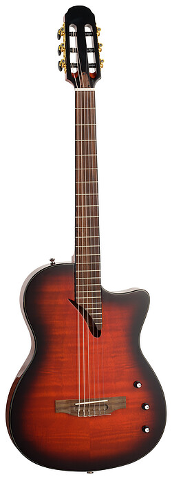 Tanglewood EMDC8CG E.Madera Dominar TL  