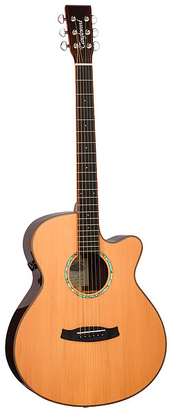 Tanglewood TRS4CE Rosewood Smart S.Folk  