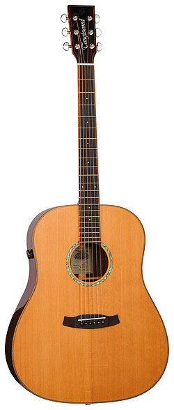 Tanglewood TRS5SE Rosewood Smart Dreadn. 
