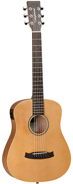 Tanglewood TW2TSE Winterleaf  