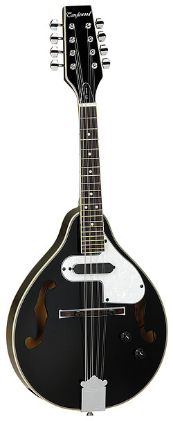 Tanglewood TWMTBKPE Union Mandolin  