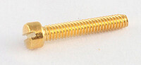 AP GS 5453-​002 Polepieceschrauben gold  