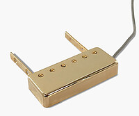 AP RZR-​10004 Jazubakka Jazz Bucker gold  