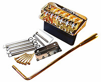 Babicz FCHSTRATGD 6-Point Tremolo gold  