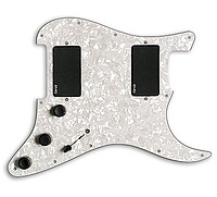 EMG KH21 Kirk Hammett Pickguard  