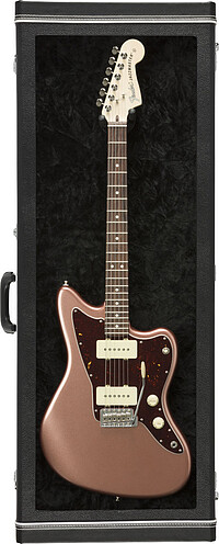Fender® Guitar Display Case, Black  