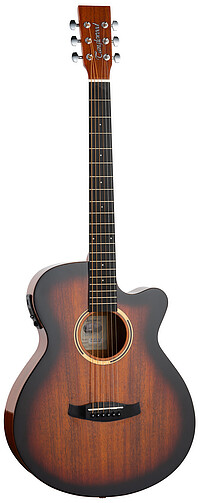 Tanglewood DBTSFCESBG Discovery sunburst 