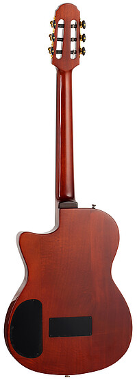 Tanglewood EMDC8BK E.Madera Dominar TL  