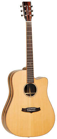 Tanglewood JDCE Java Serie  