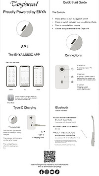 Tanglewood TRS6SE Rosew. Smart Dreadn.  