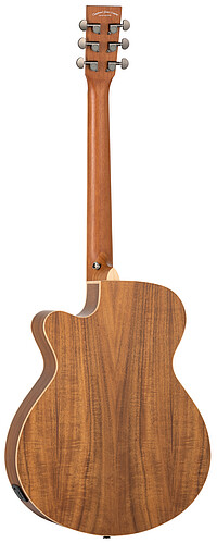 Tanglewood TRU4CEAK Reunion Pro S.Folk  