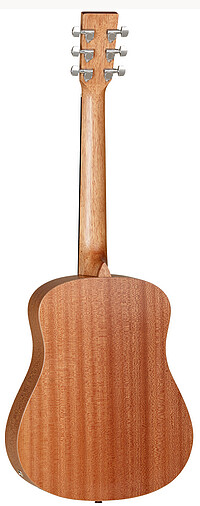 Tanglewood TW2TSE Winterleaf  