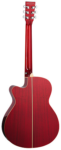 Tanglewood TW4CER Winterleaf S.Folk Red  