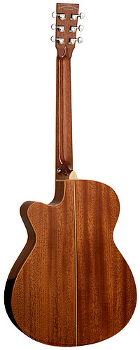 Tanglewood TW4CESB Winterleaf S.Folk SB  