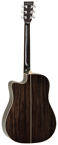 Tanglewood TW5CEBS Winterleaf Blk Shadow 