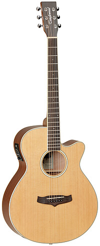 Tanglewood TW9E Winterleaf  