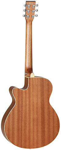 Tanglewood TW9E Winterleaf  