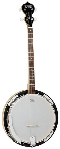 Tanglewood TWB18M4 Union Banjo  