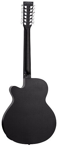 Tanglewood TWBBSFCE12 Blackb. S.Folk 12  