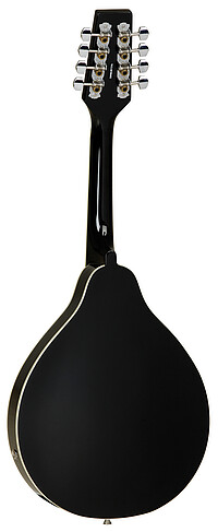 Tanglewood TWMTBKPE Union Mandolin  