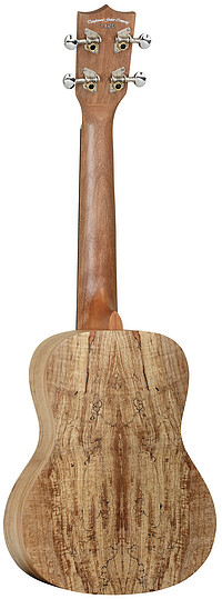 Tanglewood TWT10 Tiare Concert Ukulele  